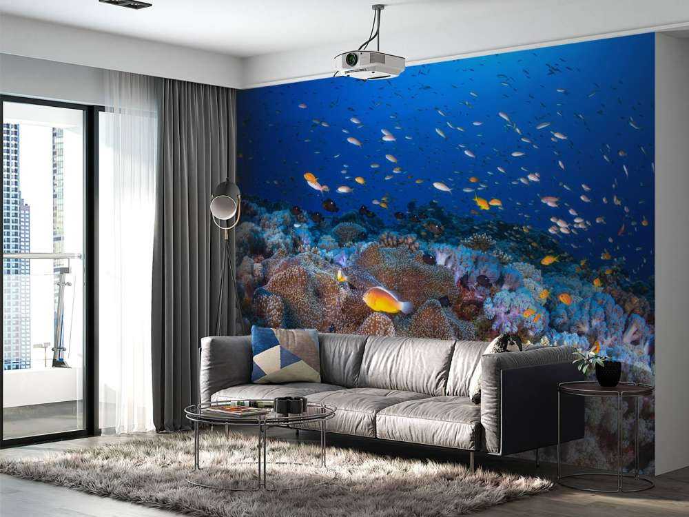Anemon and Anthias