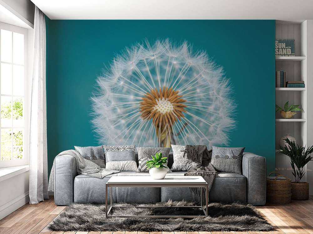 Dandelion