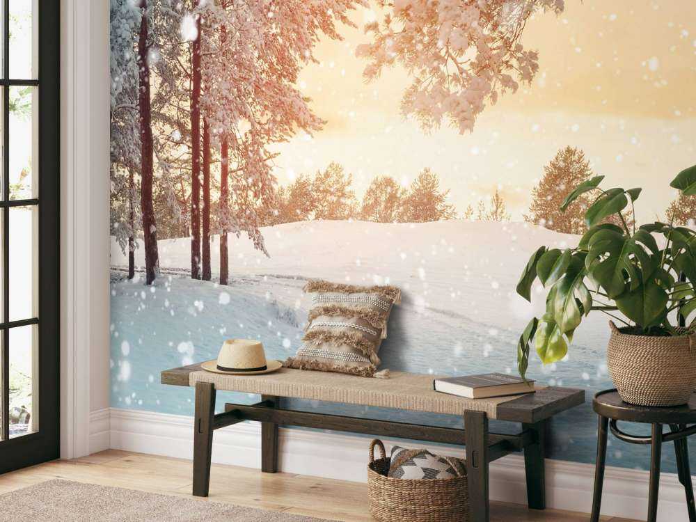 Tannenbäume mit Schnee