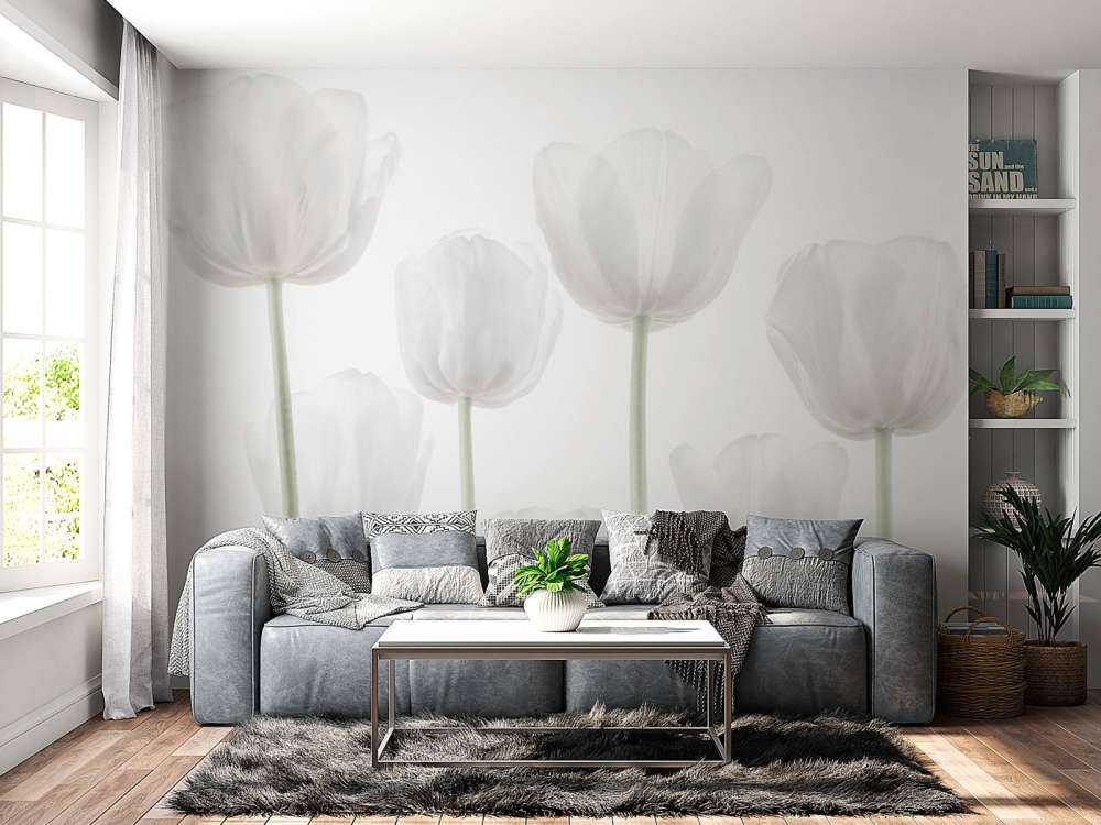 Weiße Tulpen