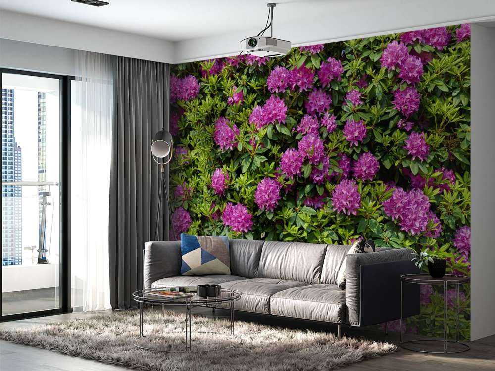 Rhododendron