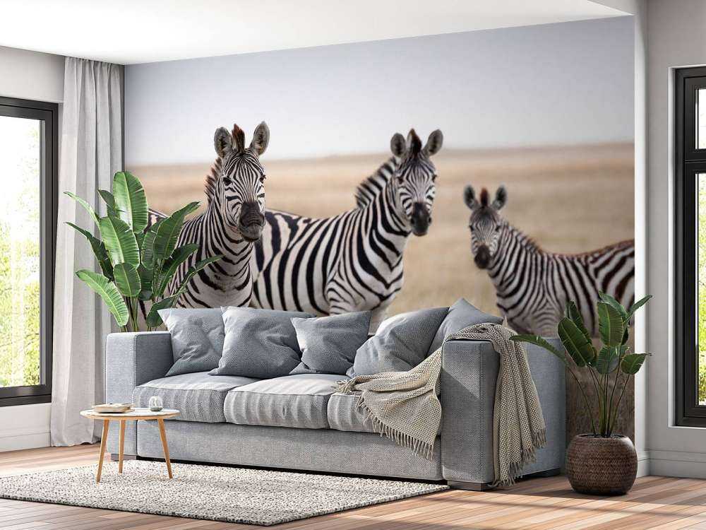 Zebras in der Natur