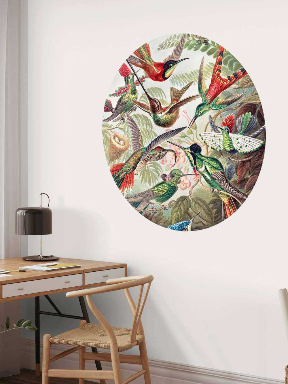 Hummingbirds