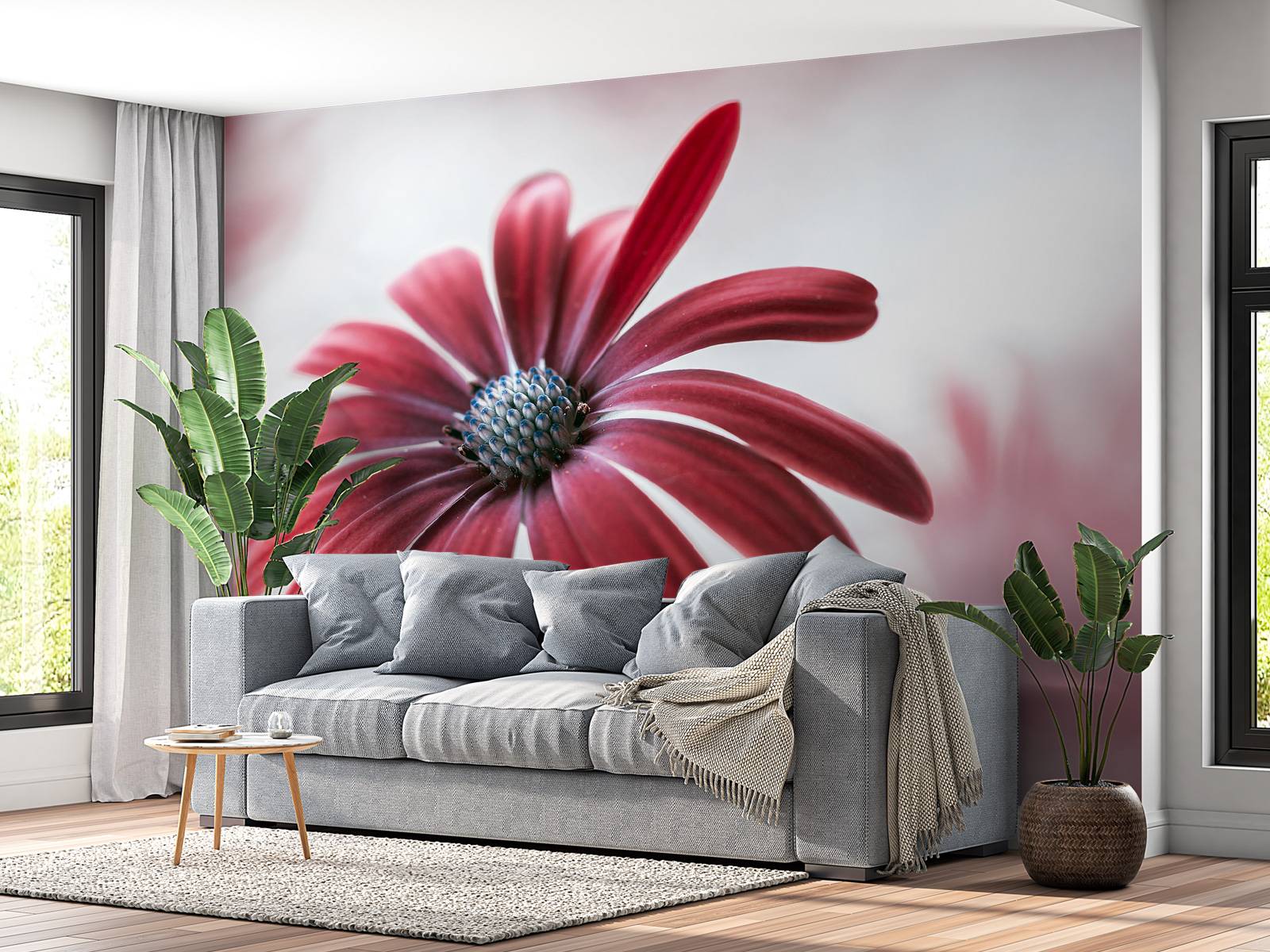 Red Daisy
