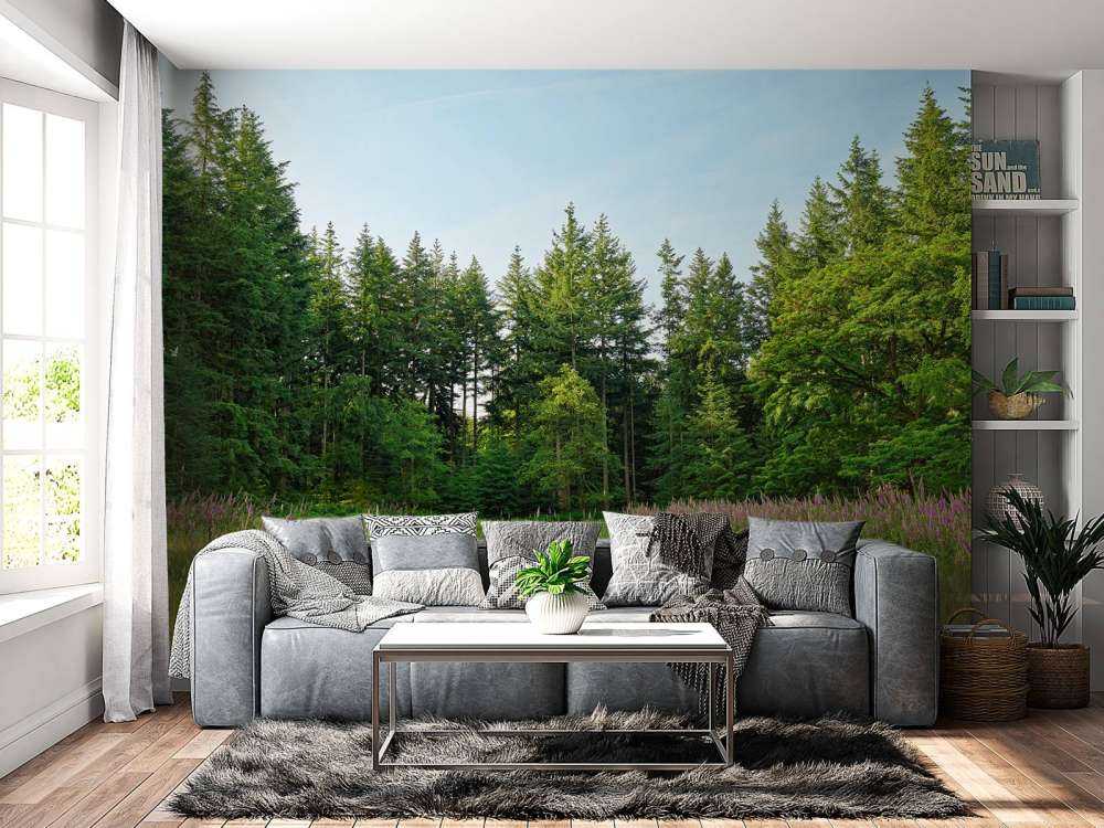 Offener Raum im Wald