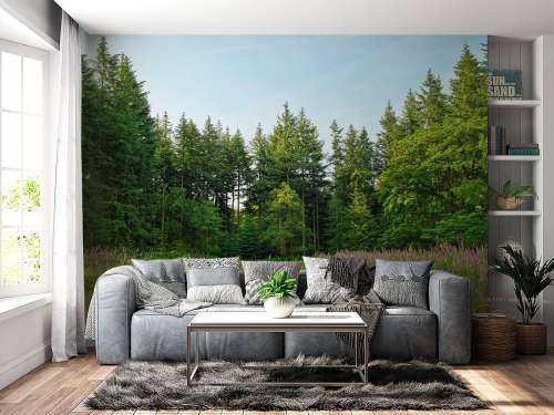 Offener Raum im Wald