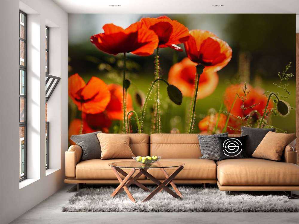 Mohnblumen