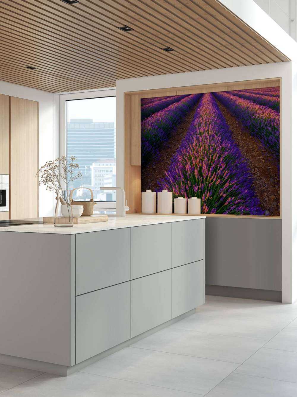 Lavendel im Sonnenlicht