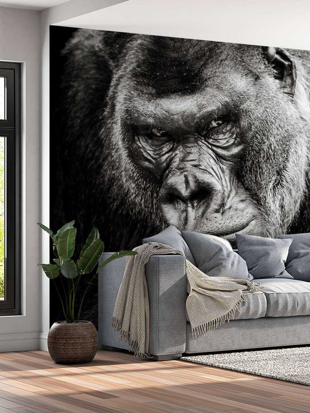 Nahaufnahme Gorilla