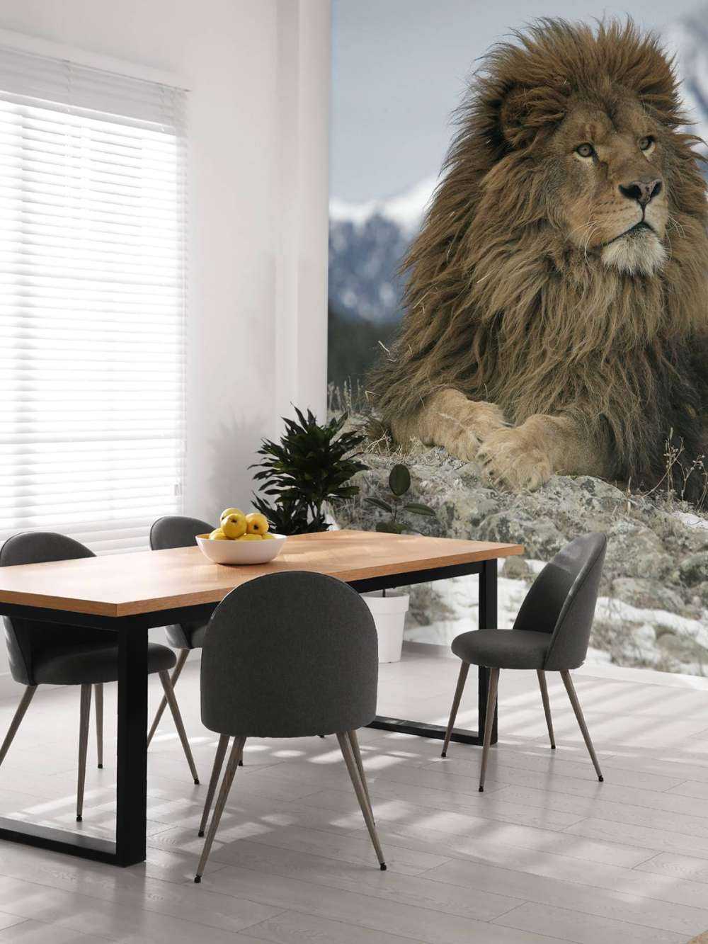 Berberlöwe