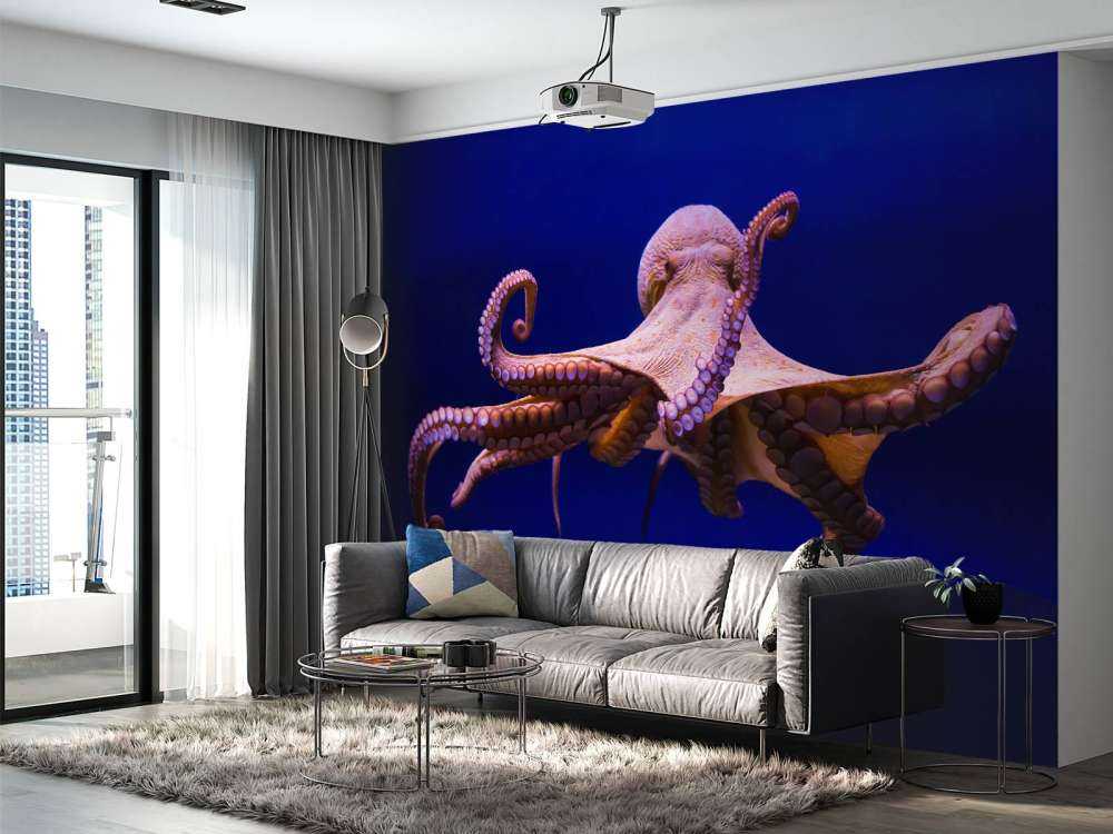 Oktopus
