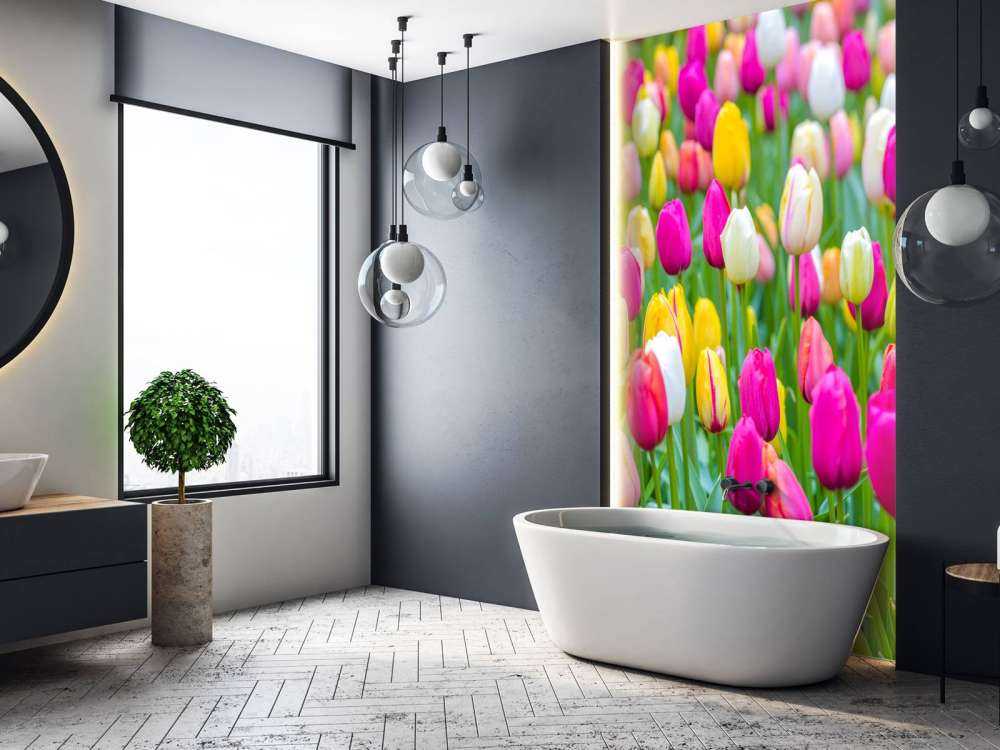 Bunte Tulpen auf einem Feld