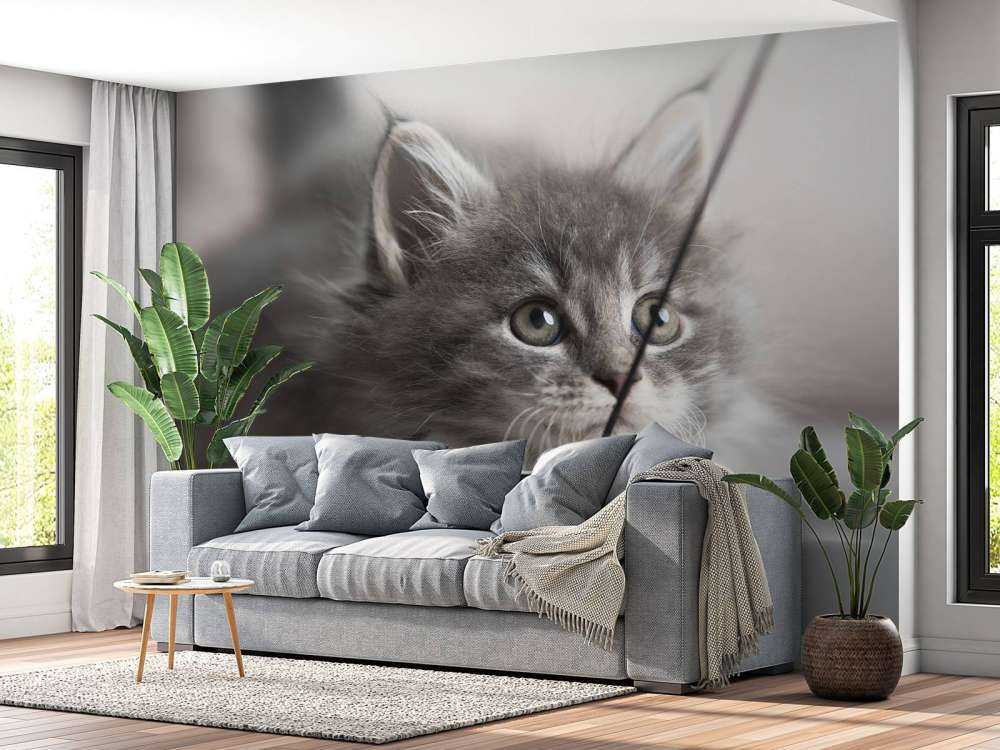 Spielende Katze