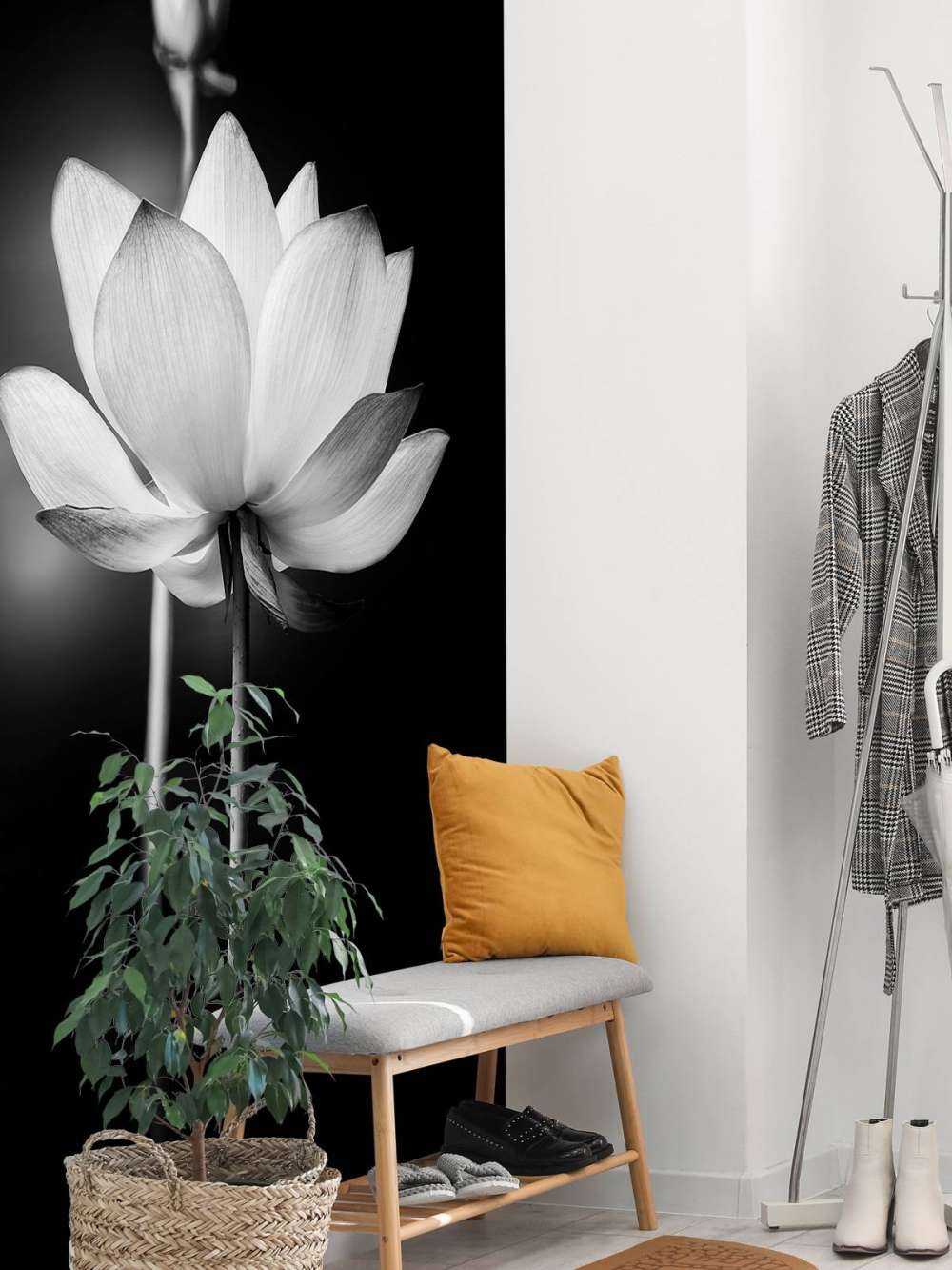 Lotusblüten schwarz und weiß