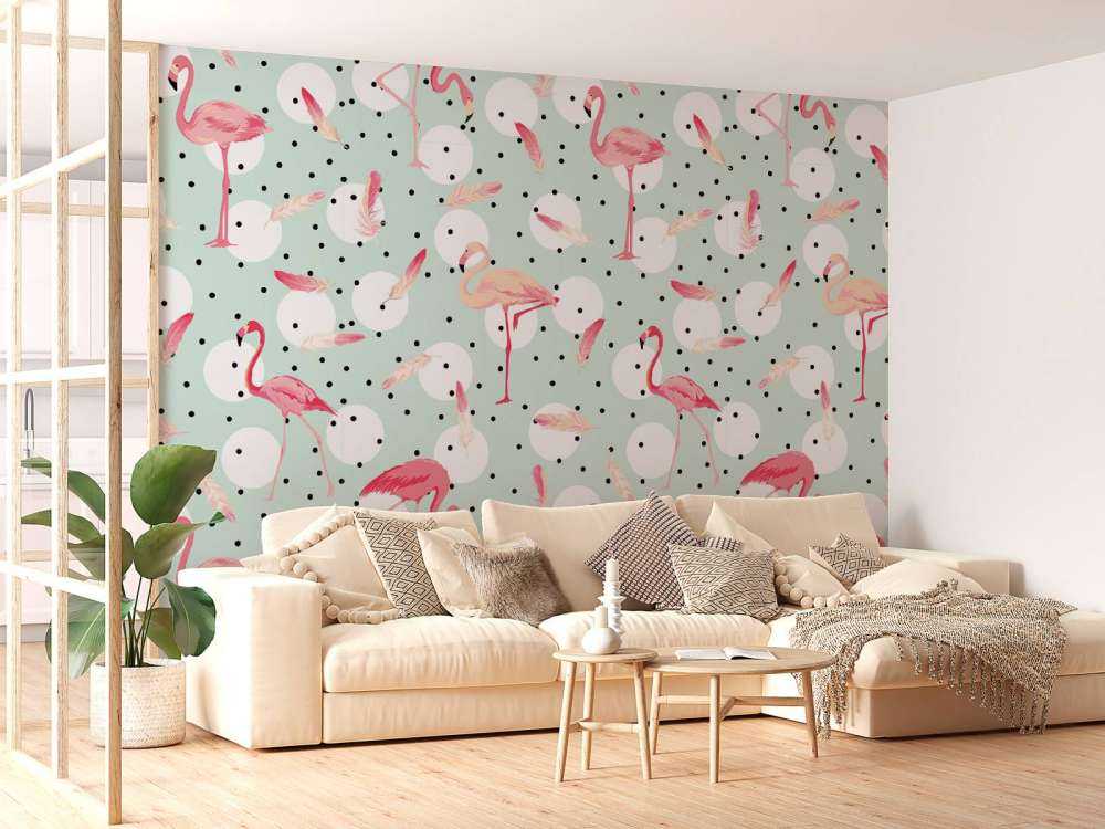 Flamingos und Federn