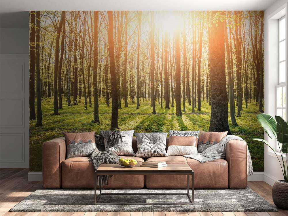 Sonnenstrahlen im Wald