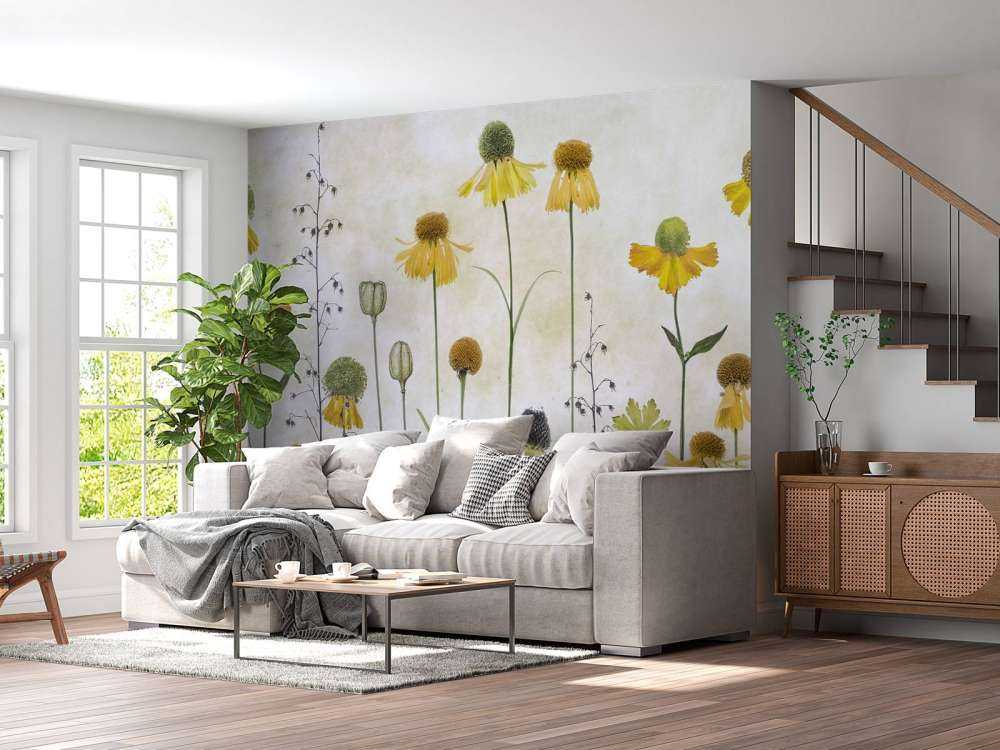 Helenium
