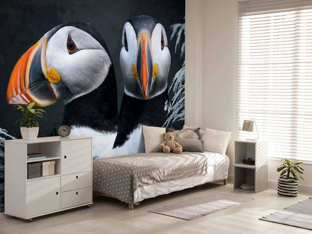 Atlantic Puffins