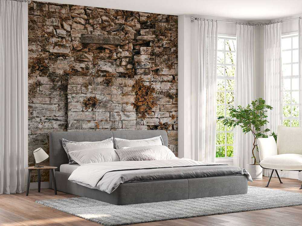 Begrünte Mauer im Herbst