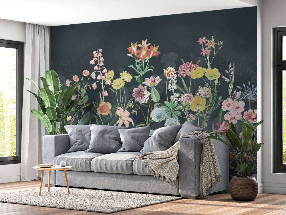 Primula 11