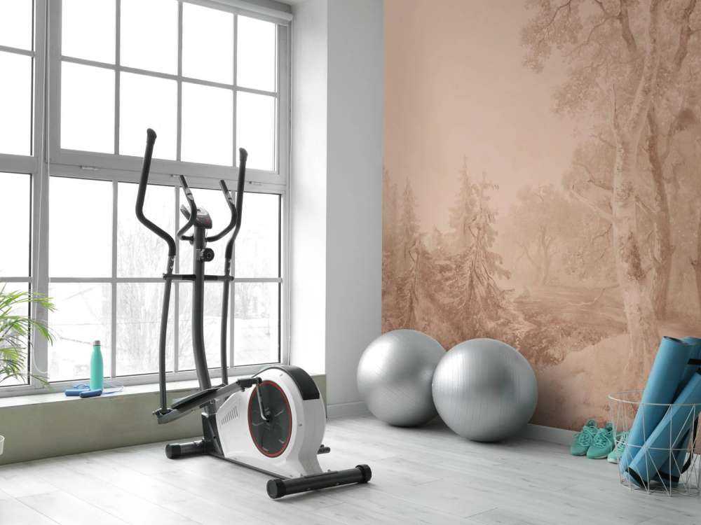 Waldlandschaft Terra #2