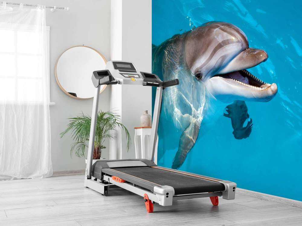 Freundlicher Delfin