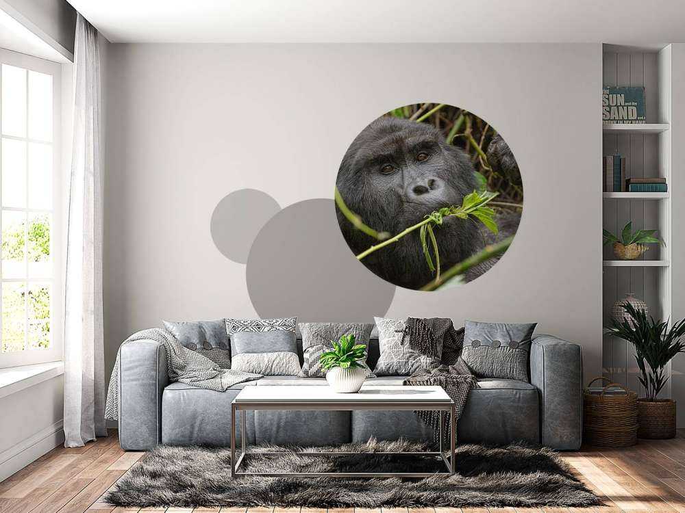 Gorilla zwischen den Ästen