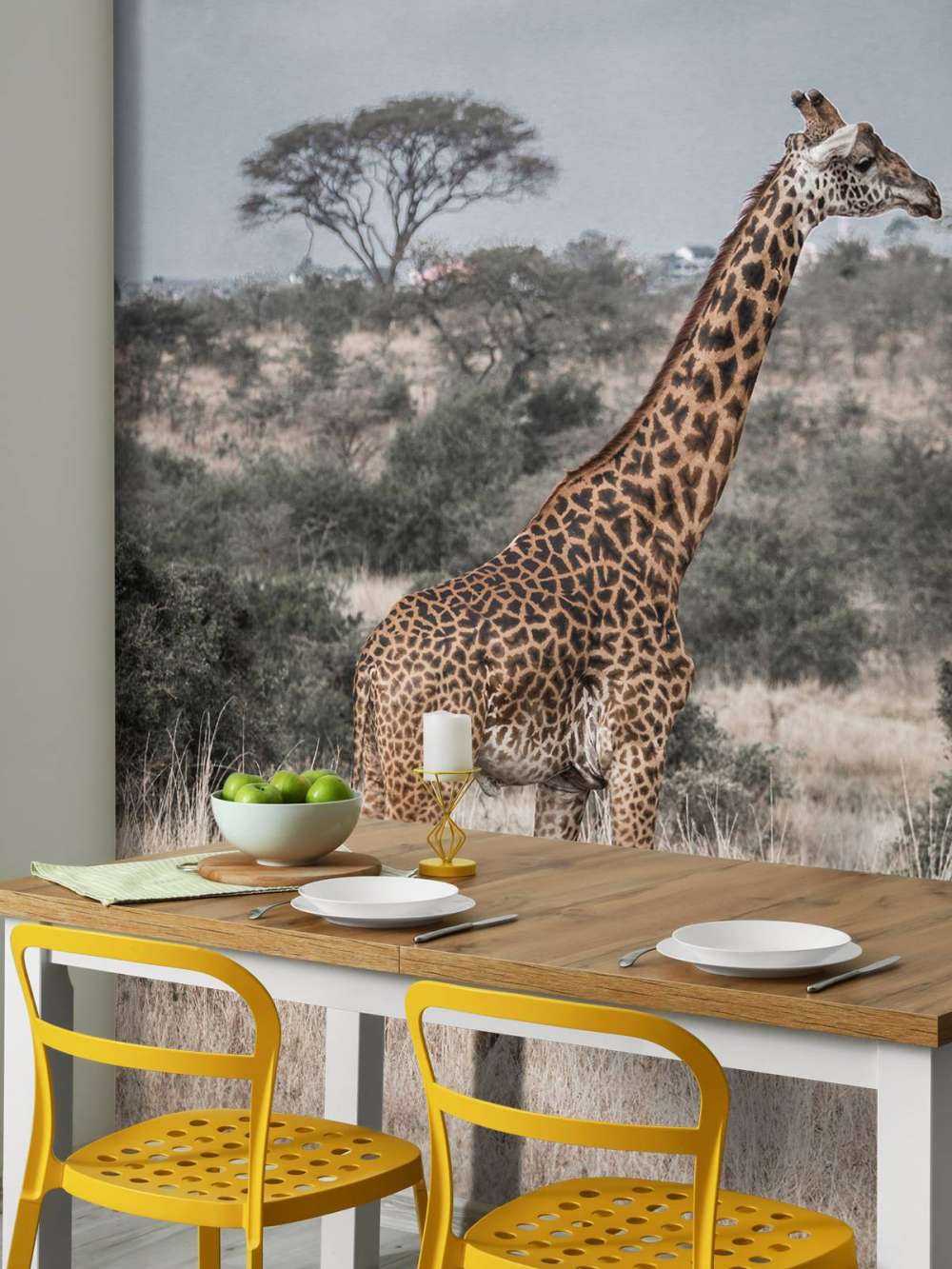 Giraffen-Portrait