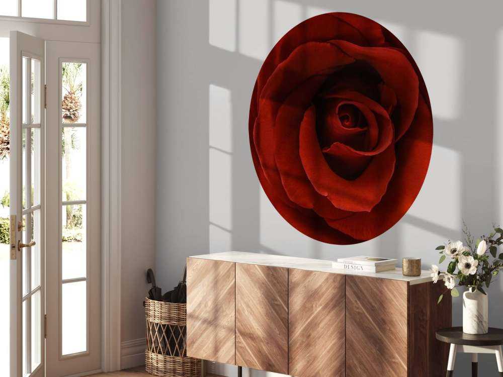 Nahaufnahme rote Rose