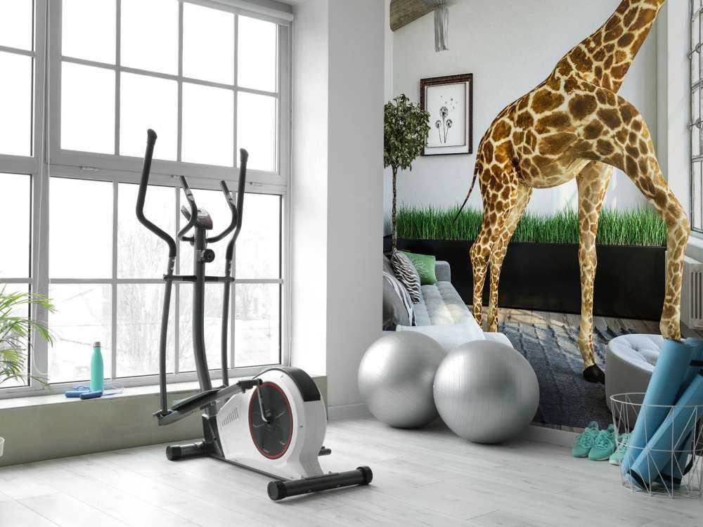 Guckende Giraffe