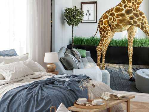 Guckende Giraffe