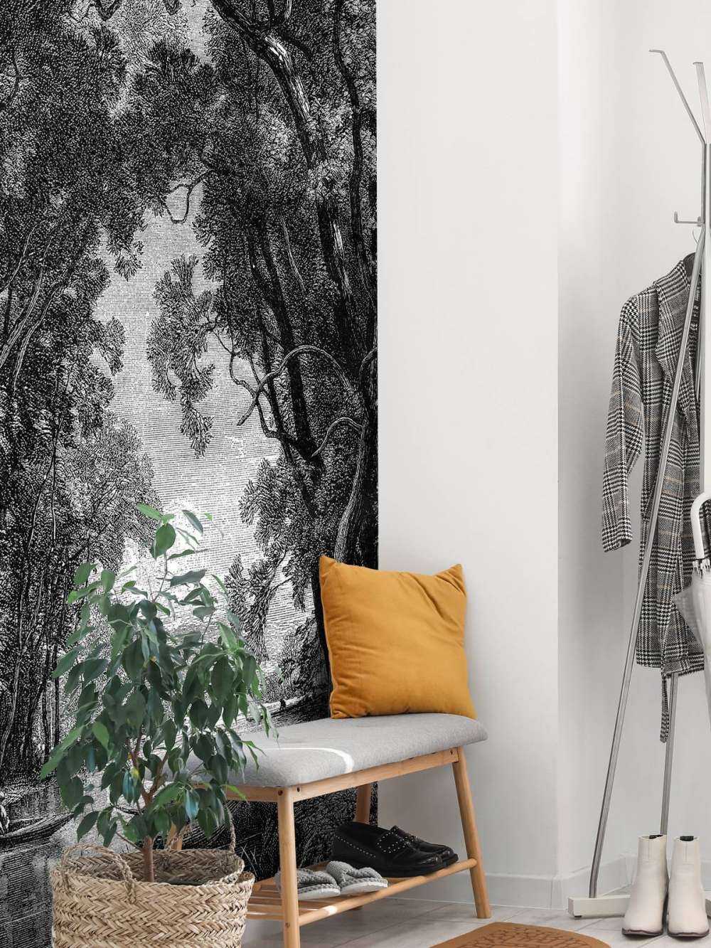 Alter Fluss im Dschungel