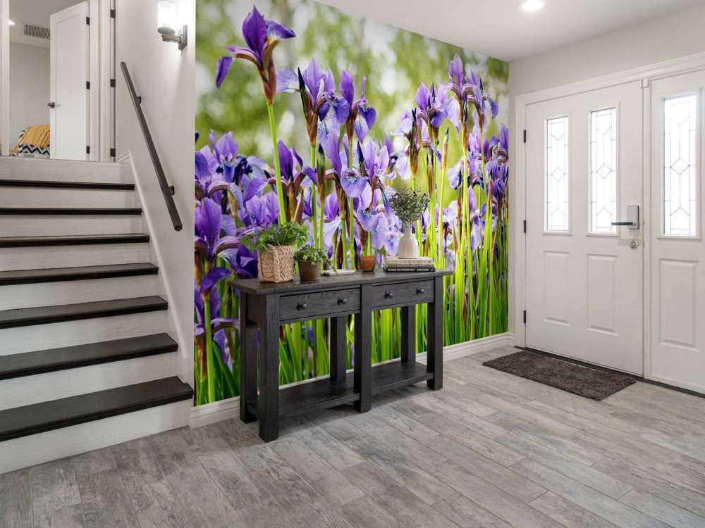 Iris